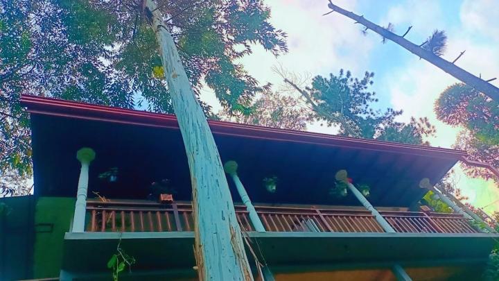 Hillsite View Guest house *