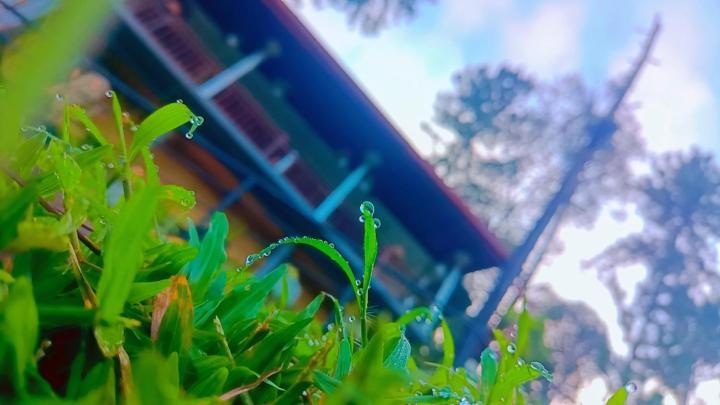 Hillsite View Guest house *