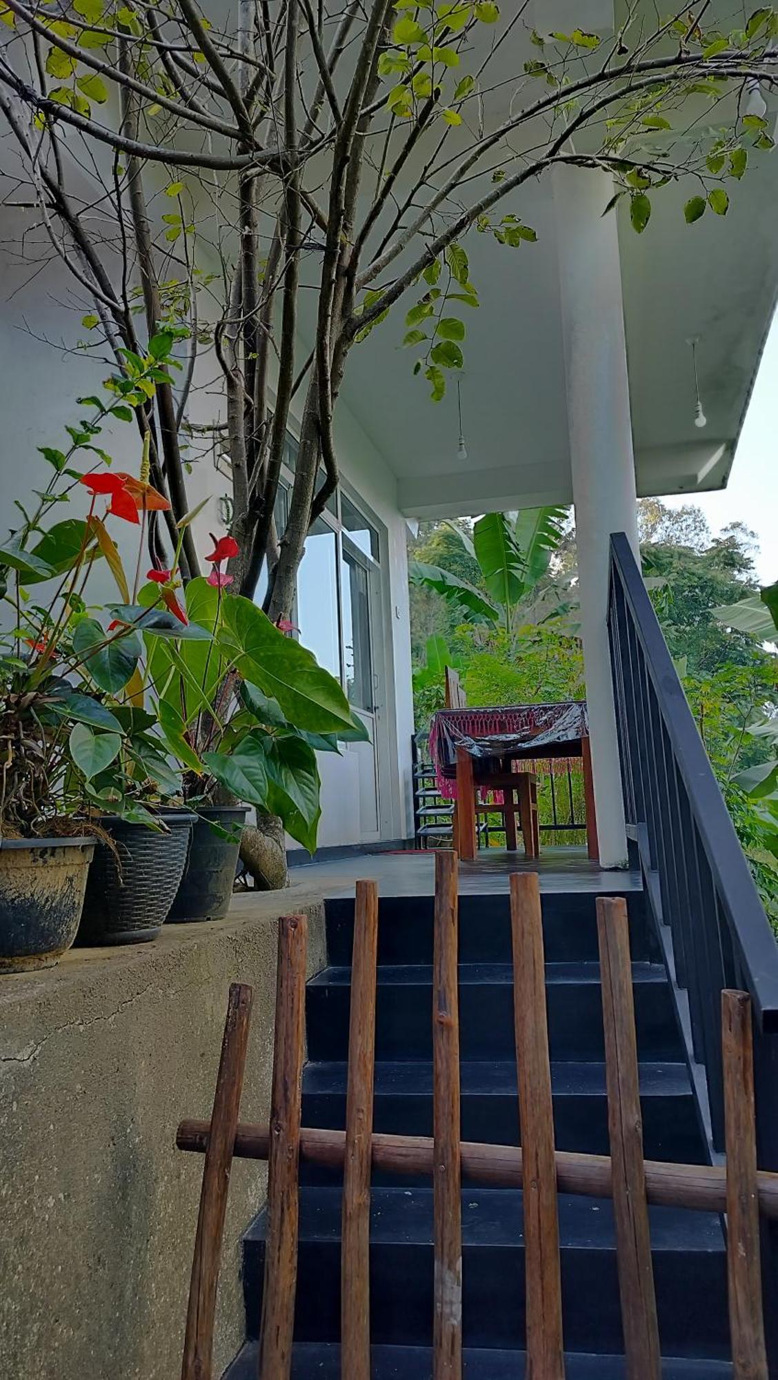Homestay The Bliss