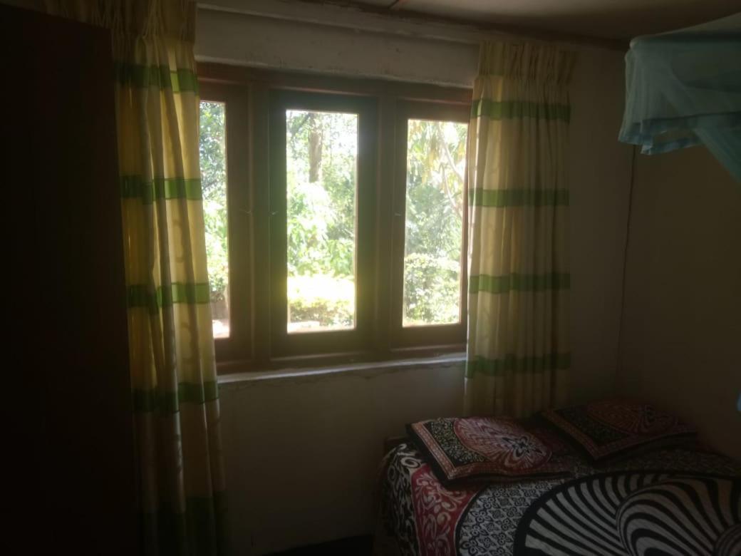 Homestay Little Viwe Ella