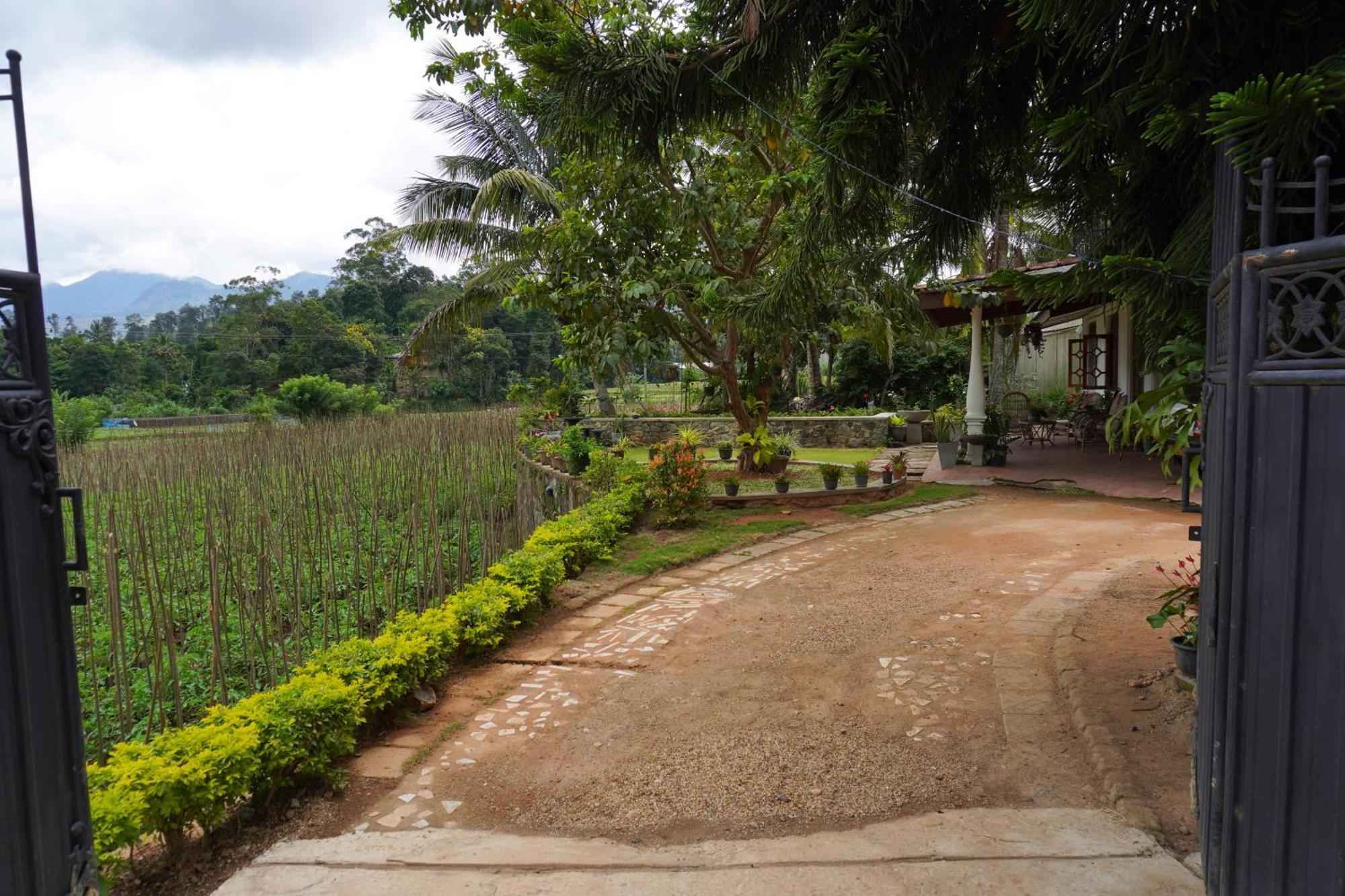 Homestay Nature Valley Ella