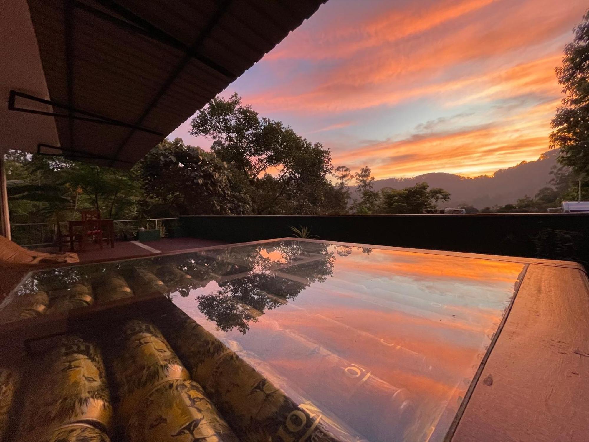 Homestay Cozy Ella