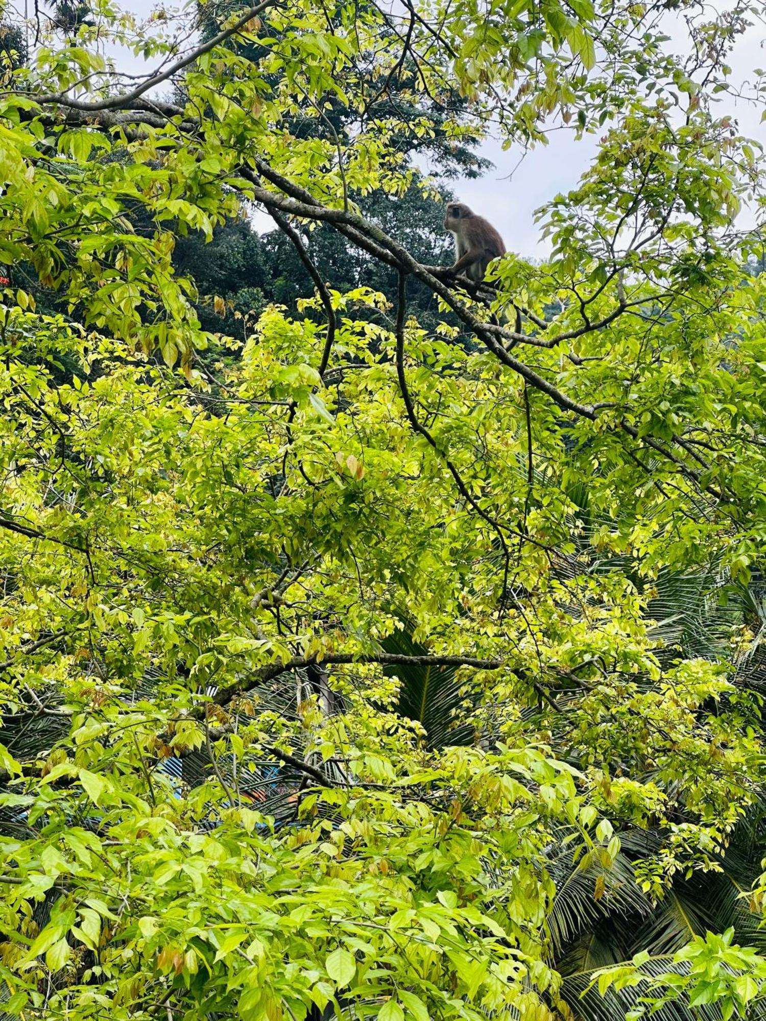 River Splendour Bed & Breakfast *