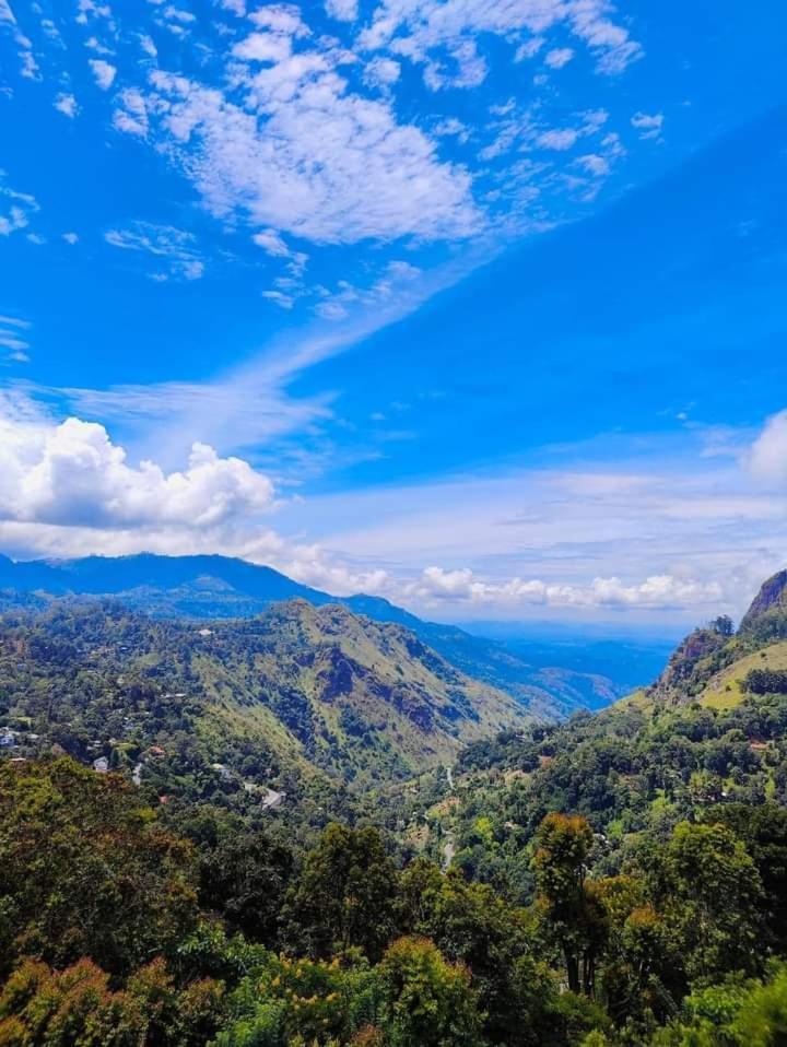 Elegant Hill *
