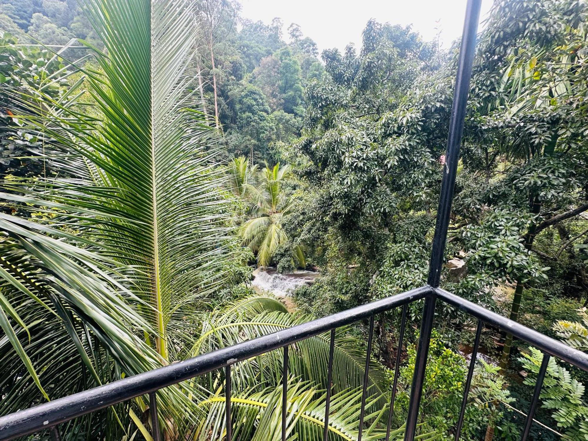 Bed & Breakfast River Splendour