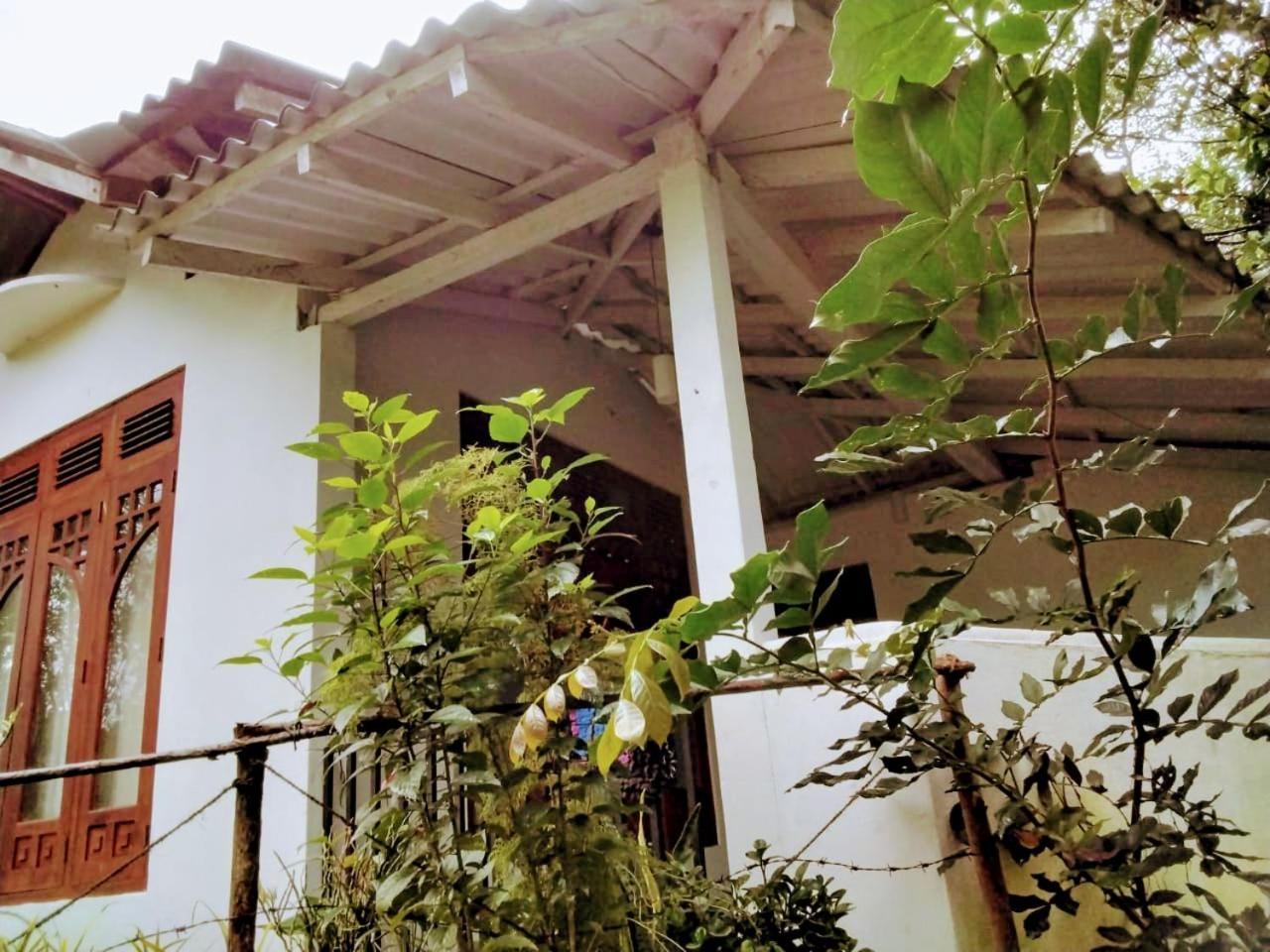 Mount Guest house *
