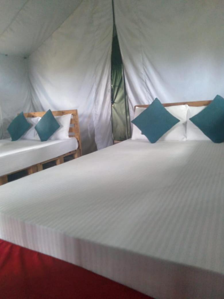 Glamping