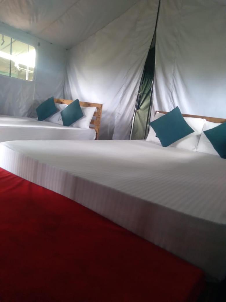 Luxury tent Glamping 3*