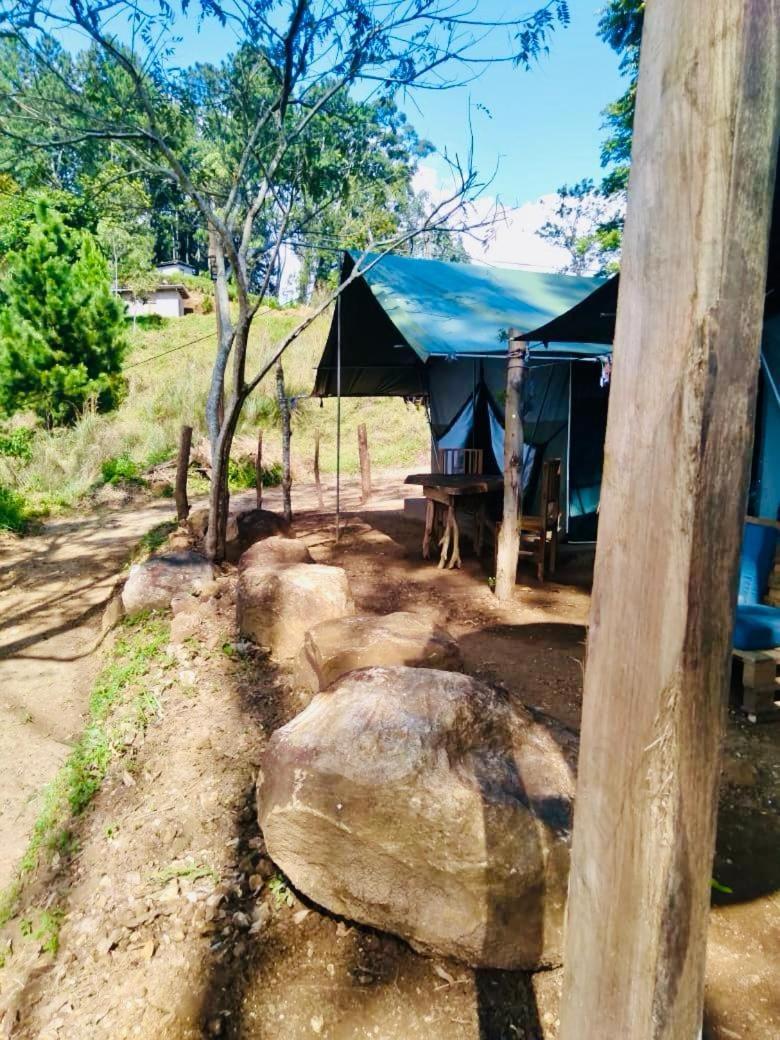 Glamping 3*