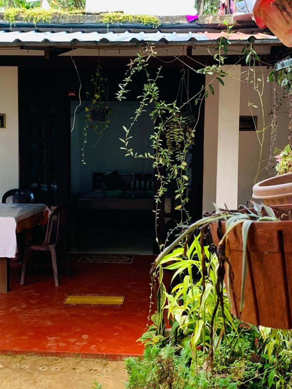 Little Inn 3*