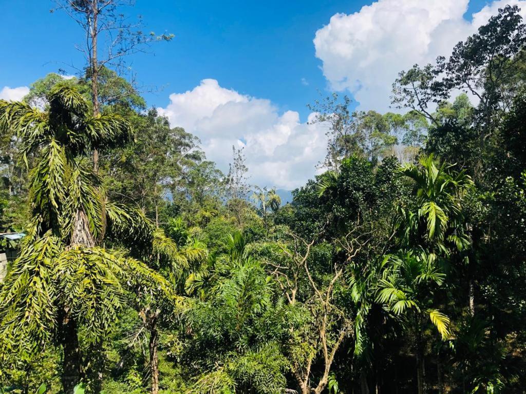 Silent Oasis Homestay