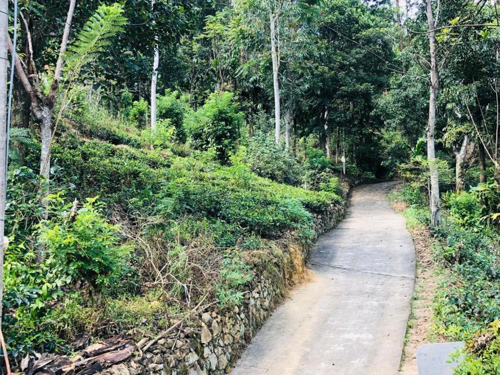 Homestay Silent Oasis Ella