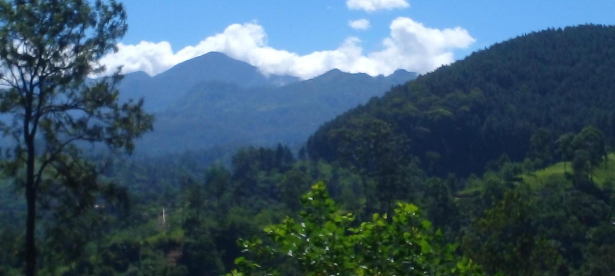 Silent Night Homestay Ella