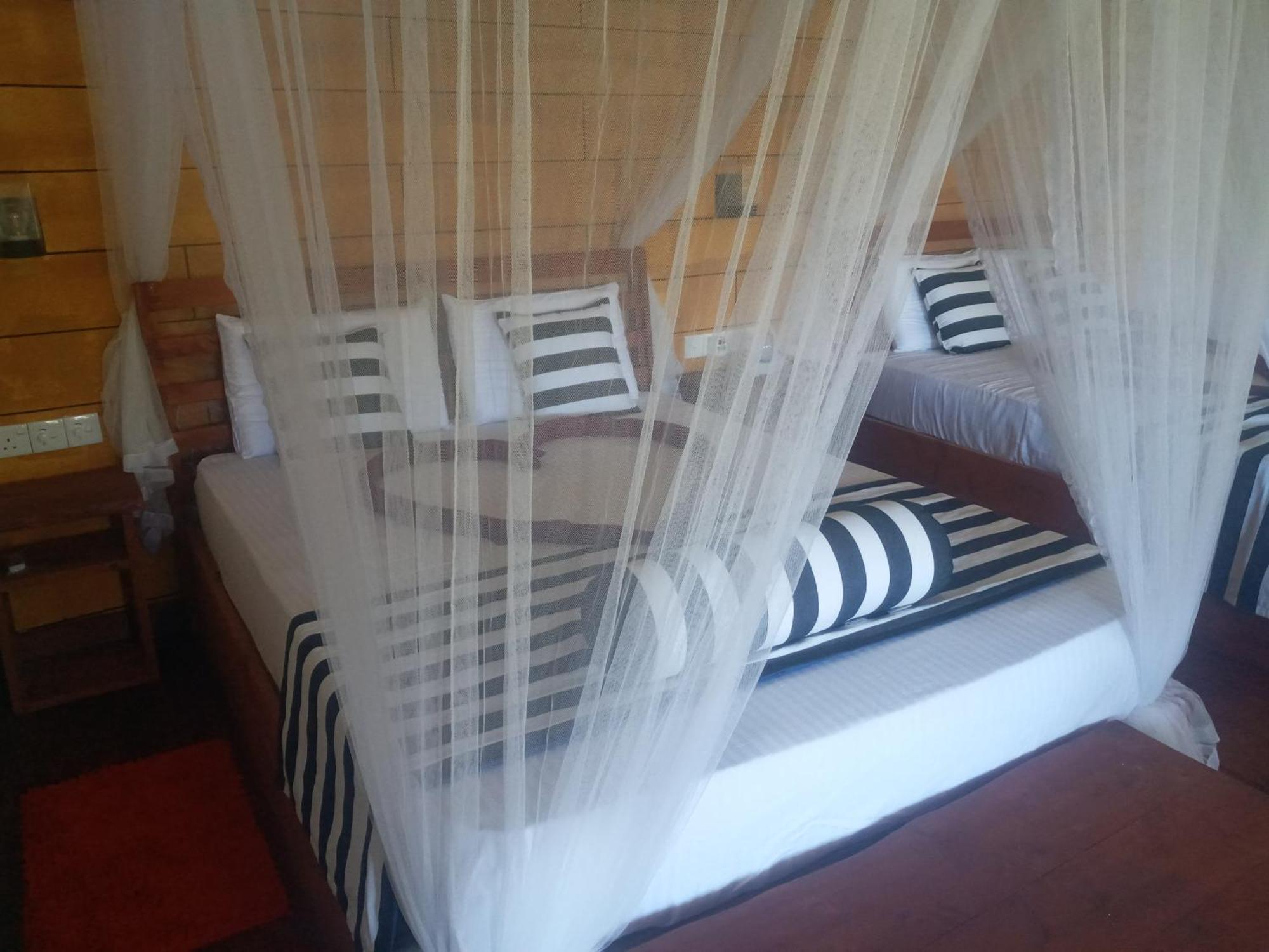 Nethsara Lodge *
