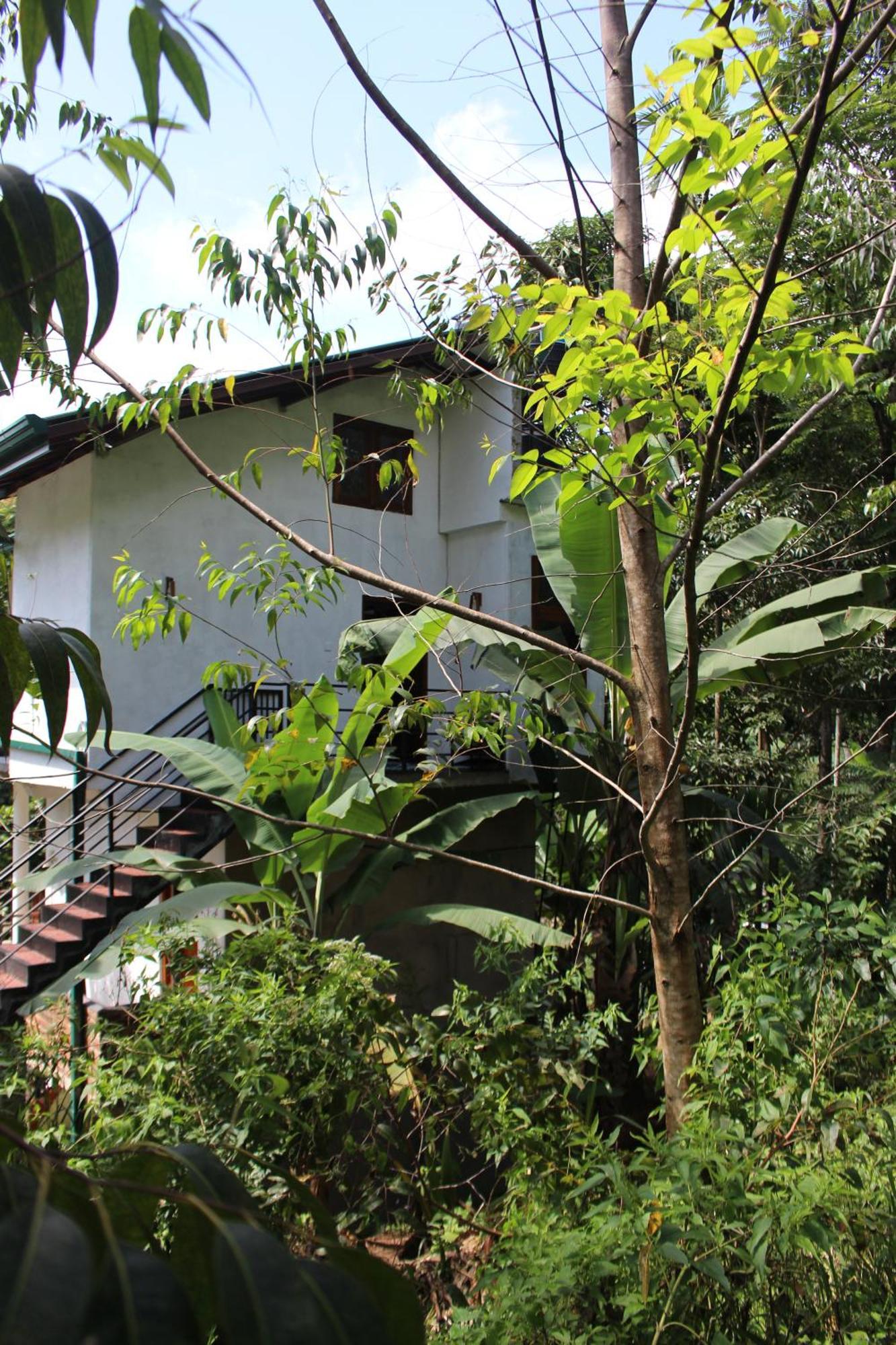 Rest Full Homestay Ella
