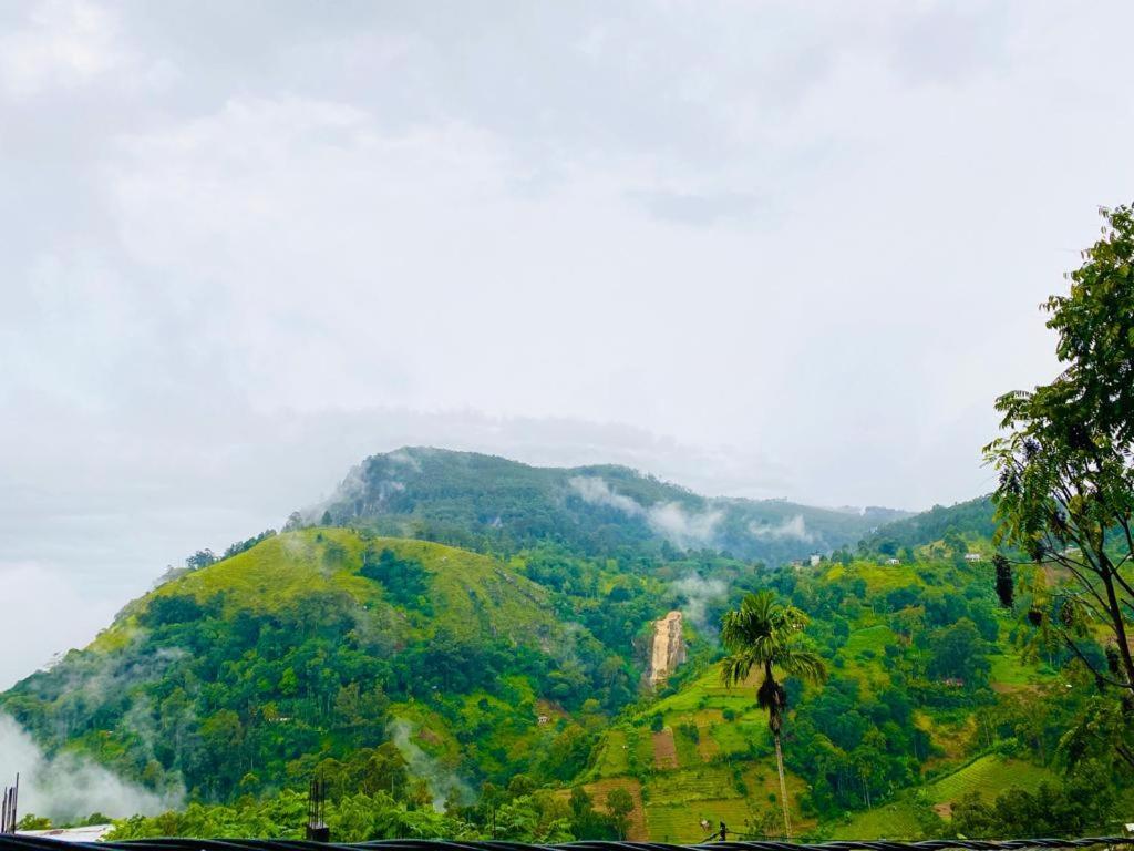 Elegant Hill Homestay