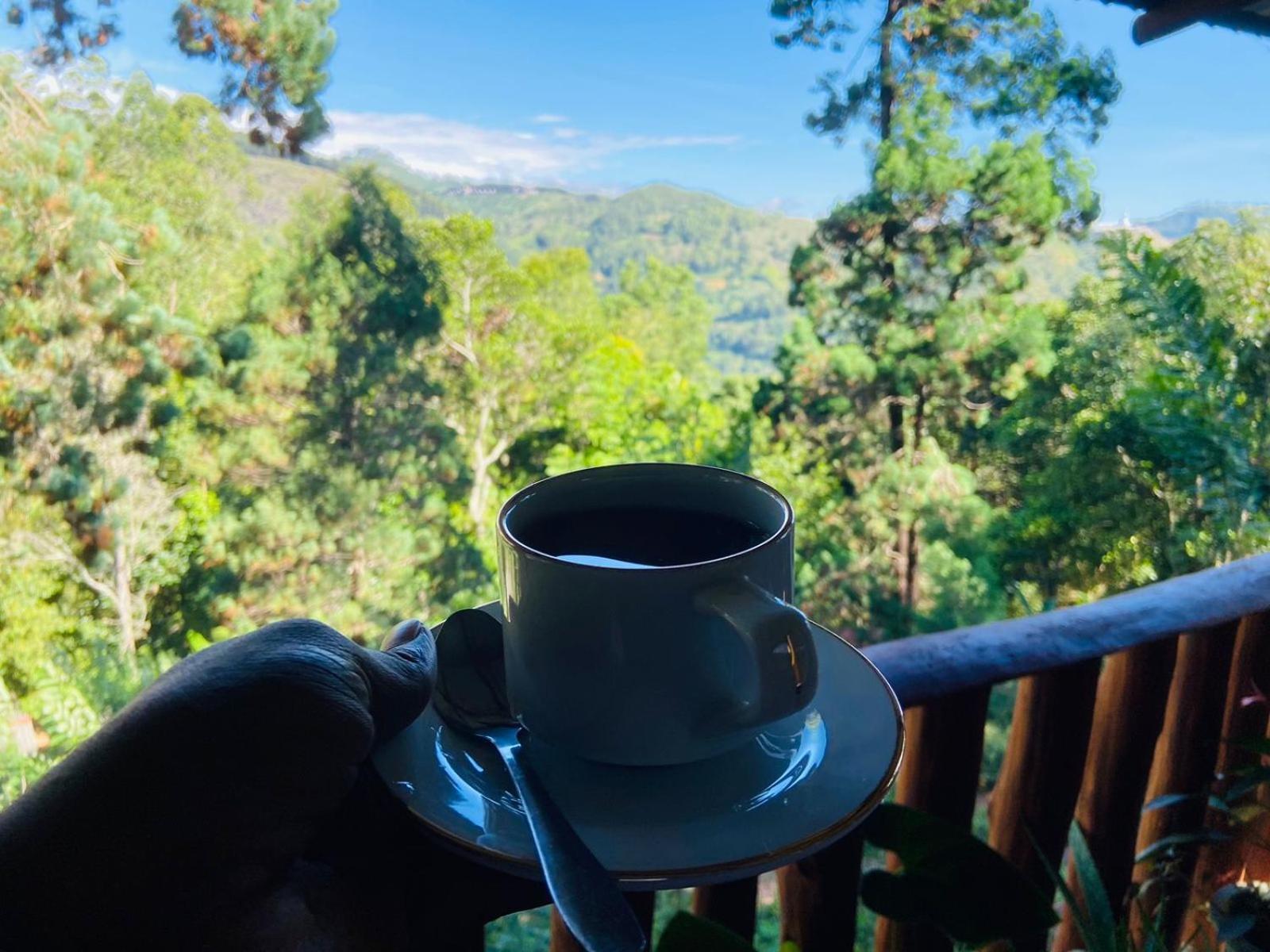 Nethsara Lodge Ella