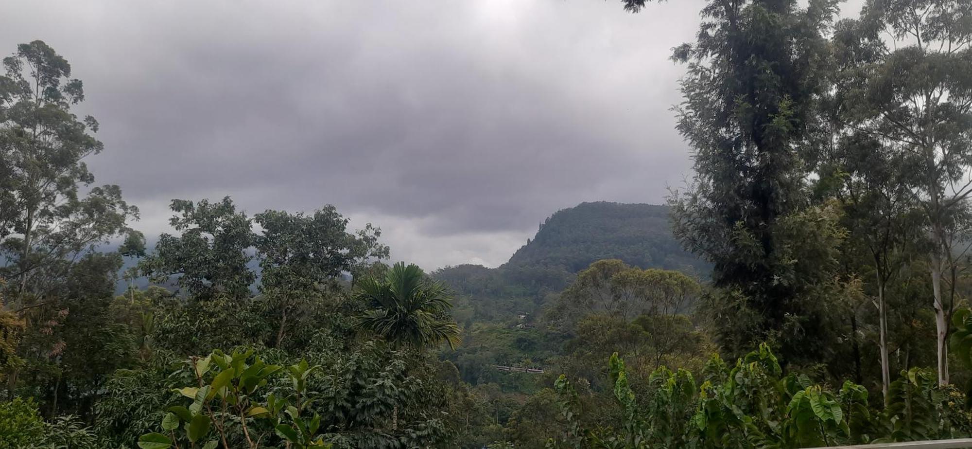 Guest house New View Ella