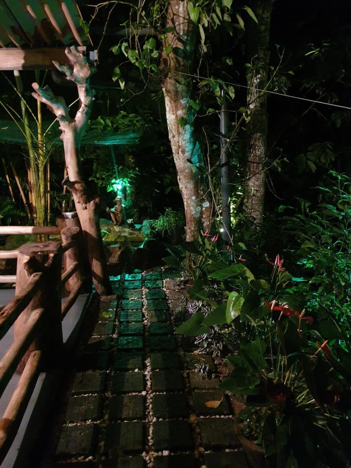 Treetops