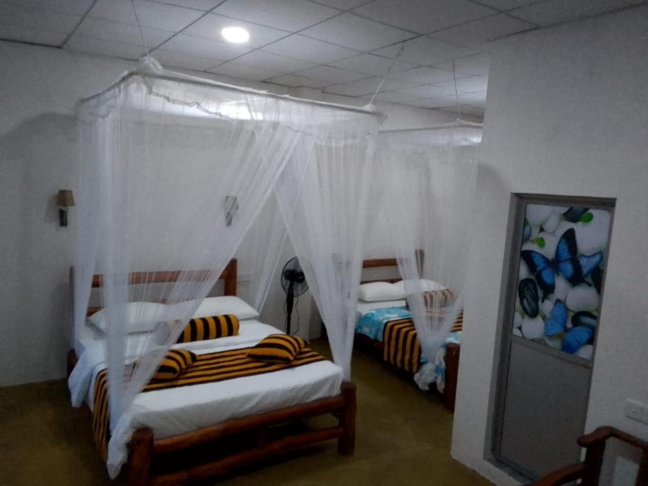 Guest house New View 3*