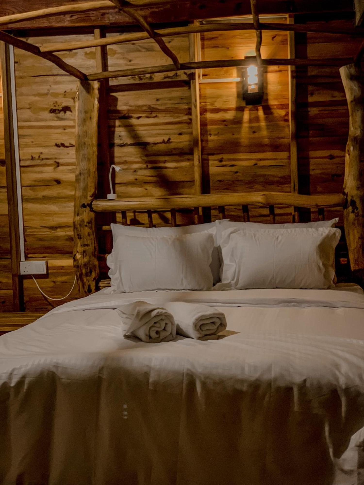 Bed & Breakfast Lamiaceae Wood *