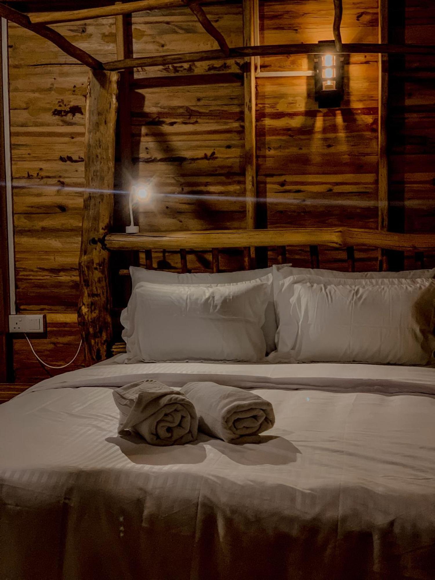 Bed & Breakfast Lamiaceae Wood