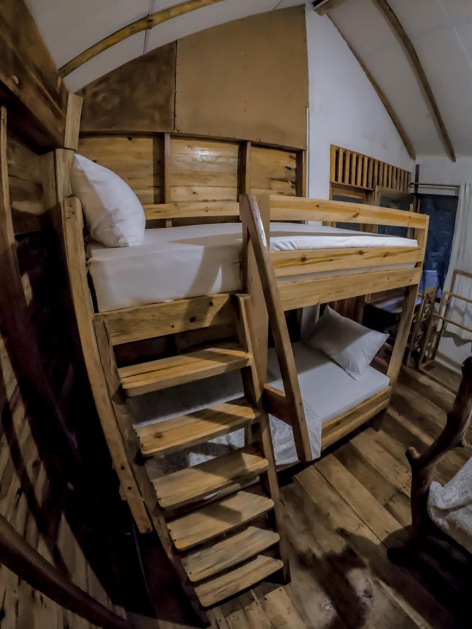 Bed & Breakfast Lamiaceae Wood *