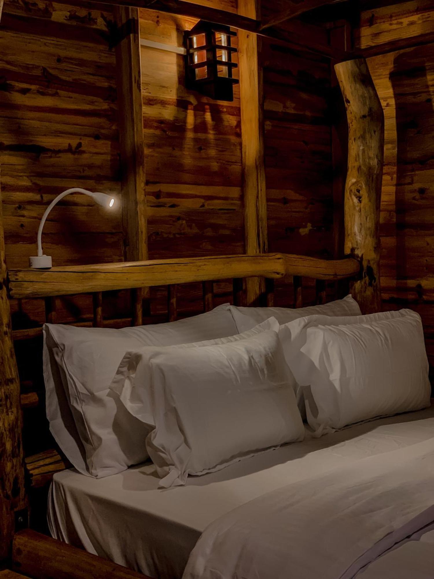 Lamiaceae Wood Bed & Breakfast