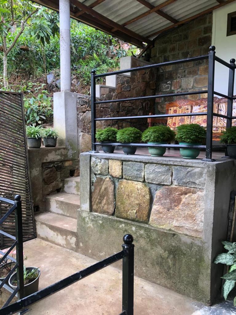 Homestay Sky Garden