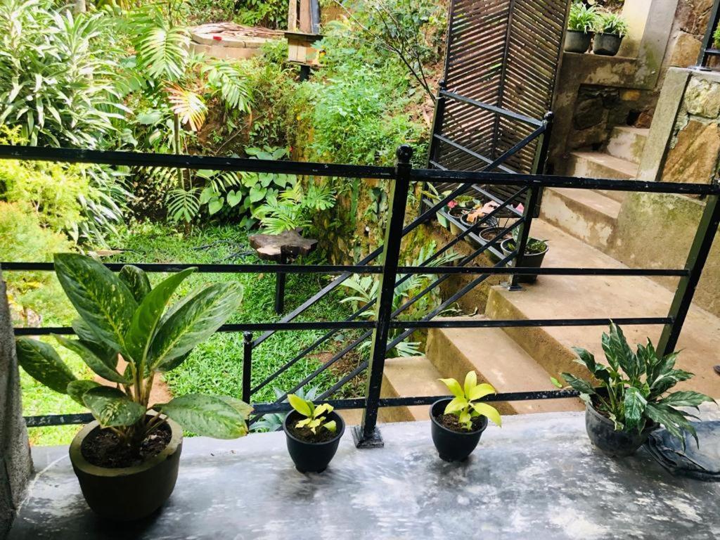 Sky Garden Homestay