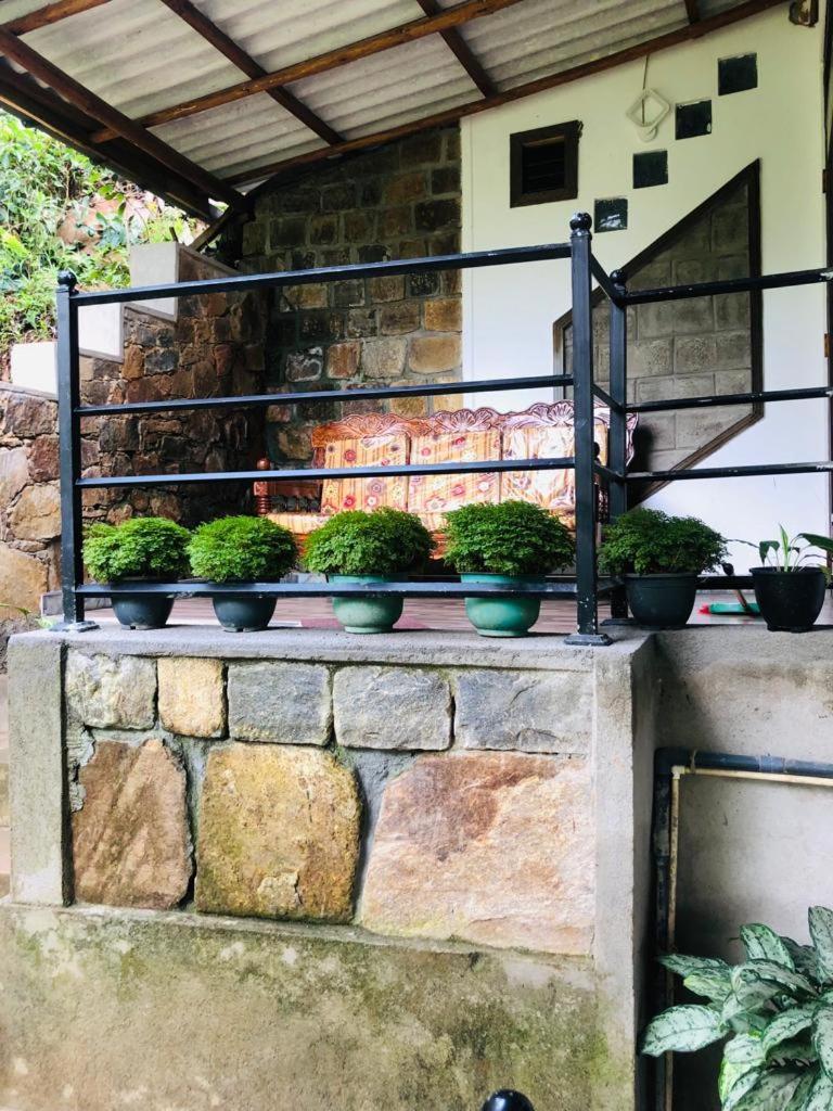 Sky Garden Homestay *