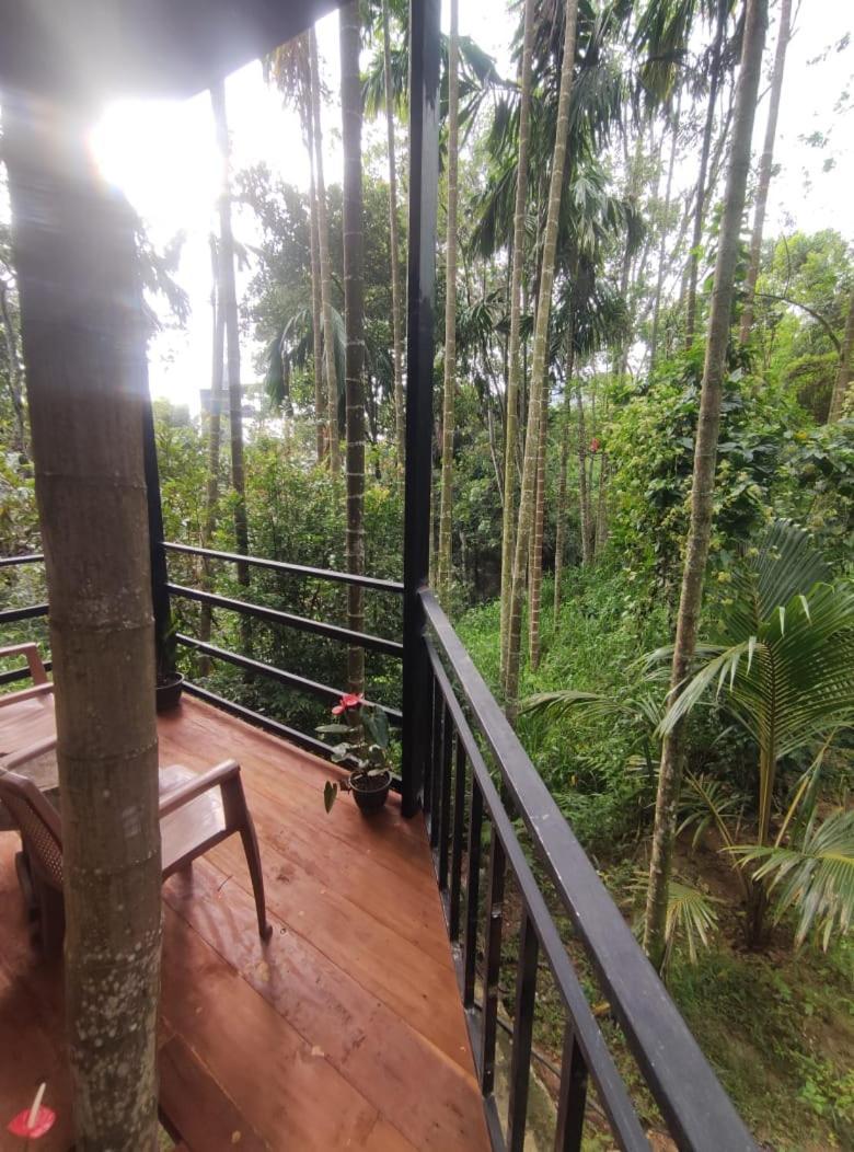 Guest house Nice Ella *