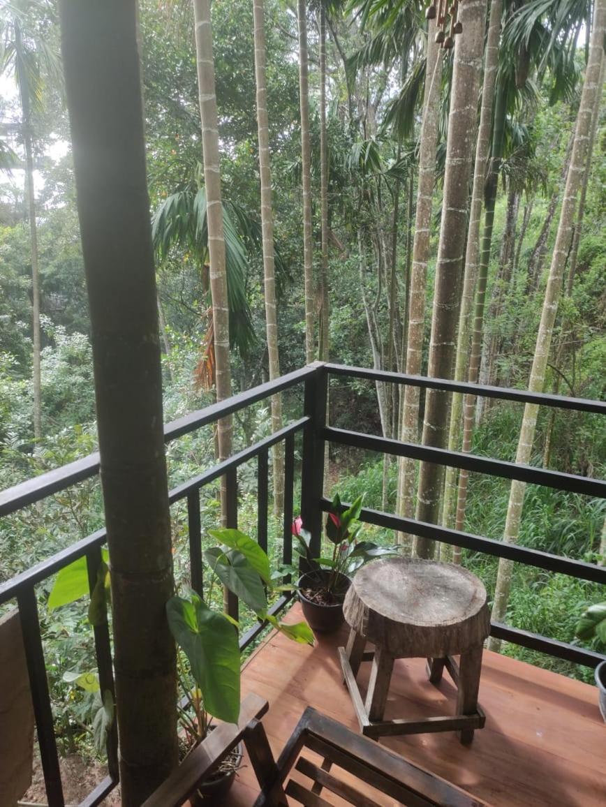 Nice Ella Guest house *