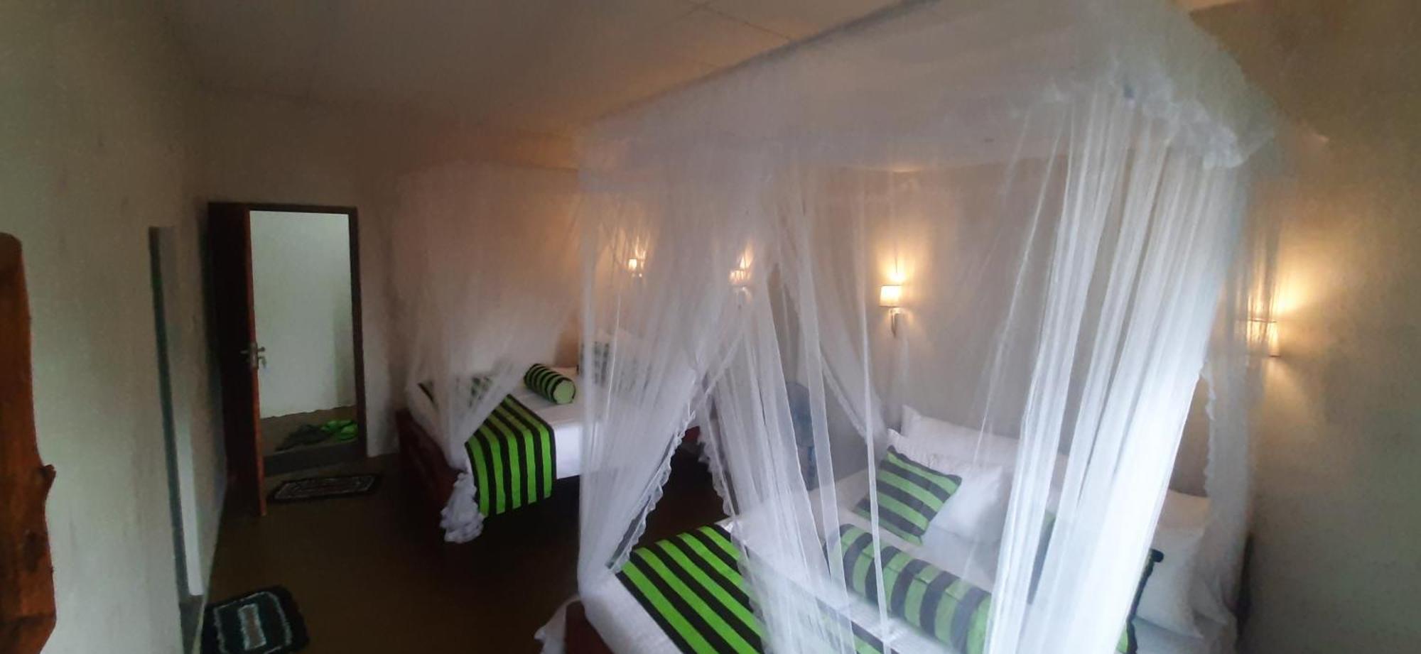 New View Guest house