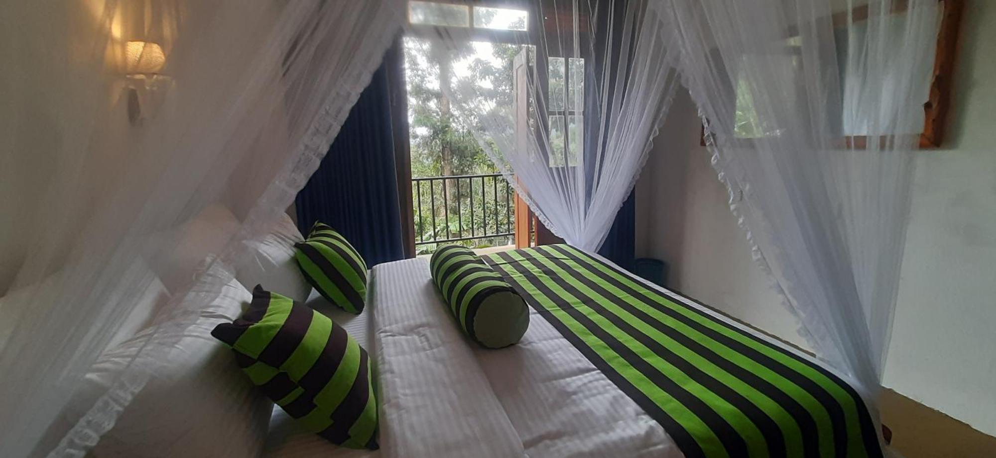 New View Guest house