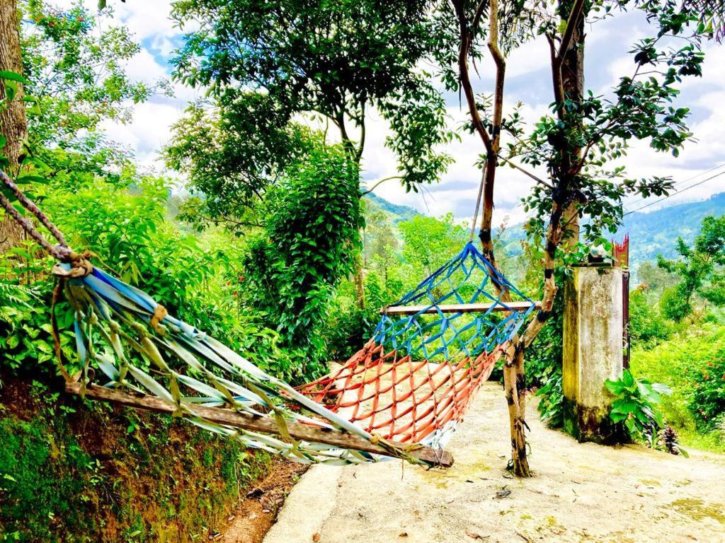 Homestay Private Only