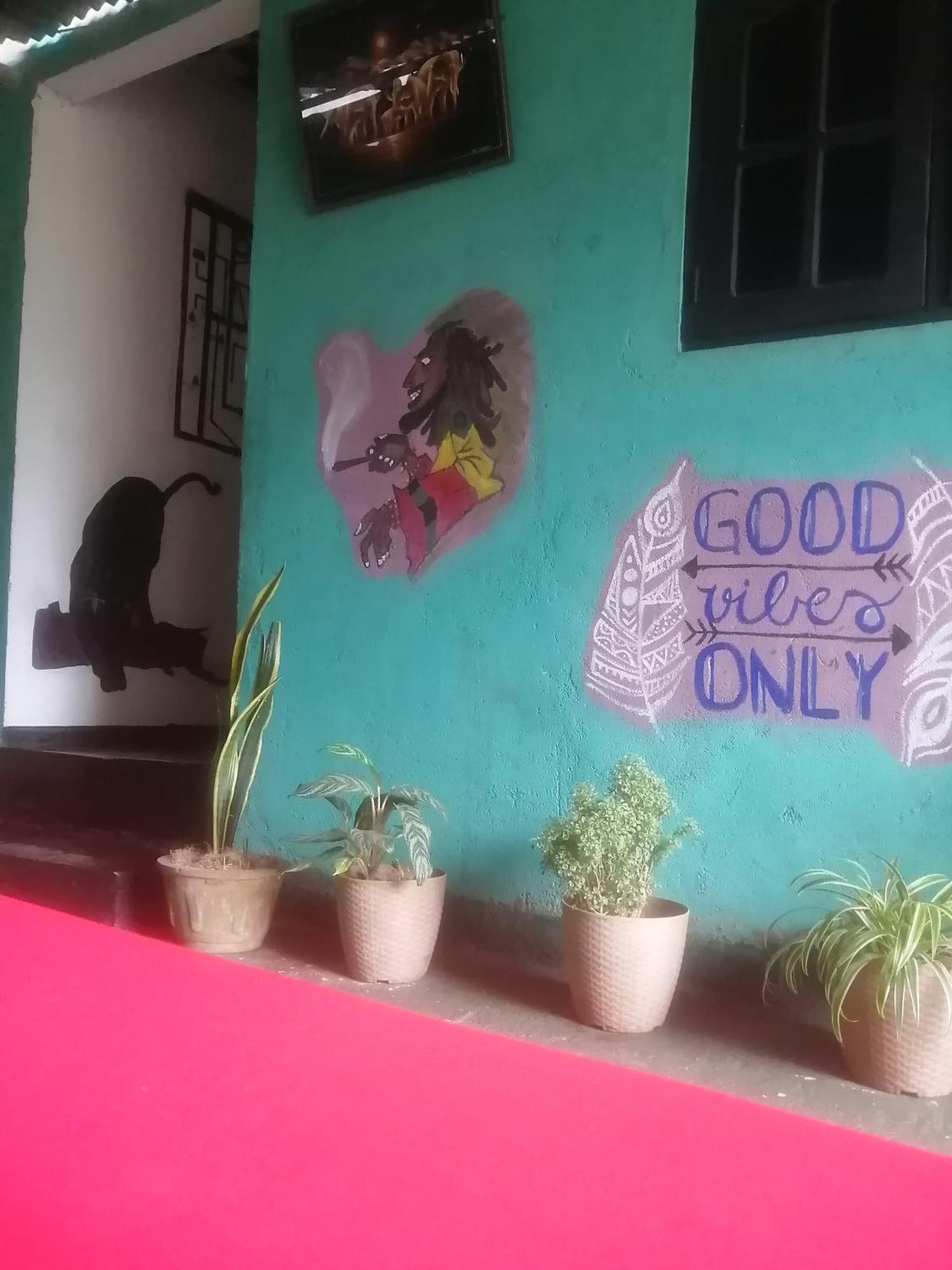 Cozy House Hostel