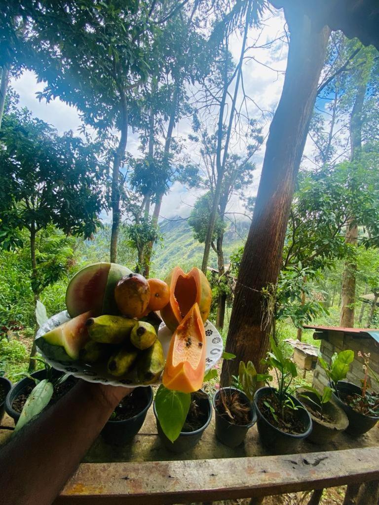 Inn Hidden Gem