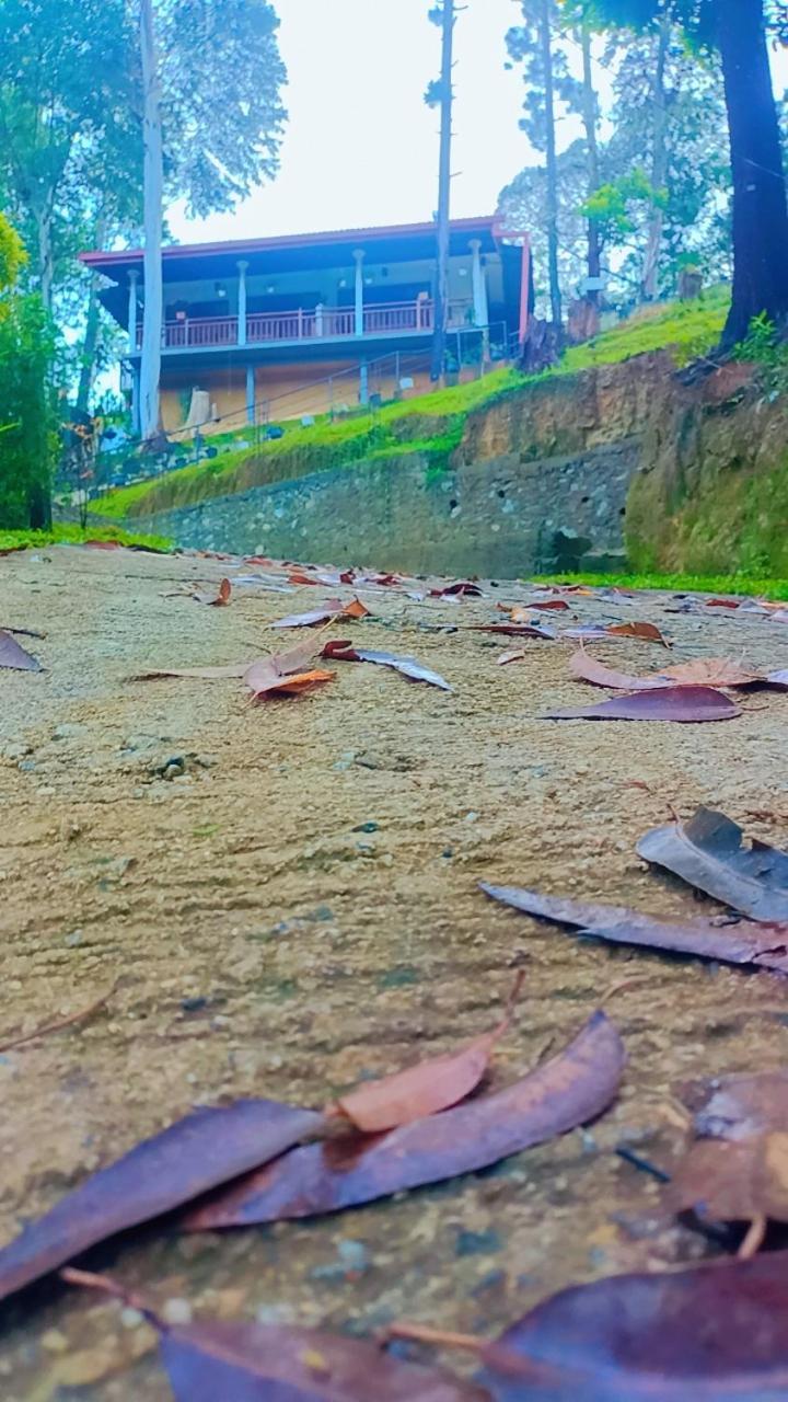 Guest house Hillsite View *