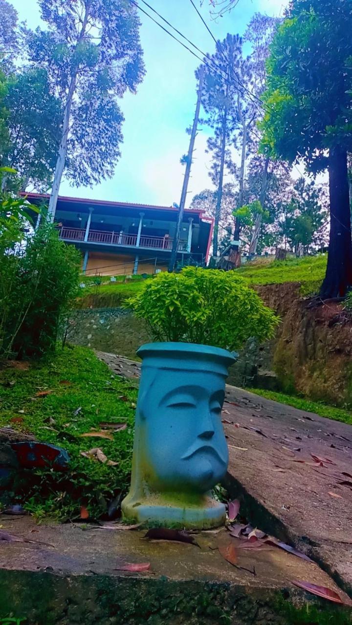 Hillsite View *