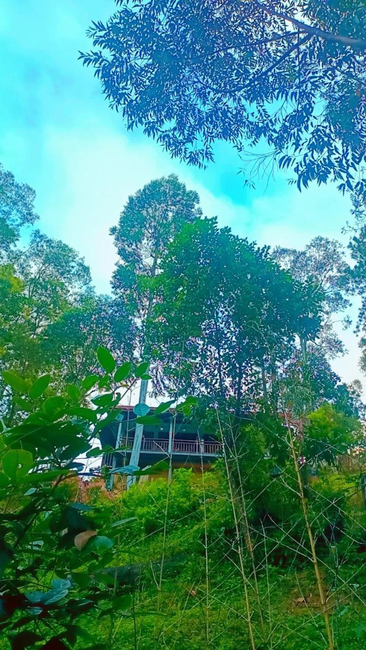 Hillsite View *