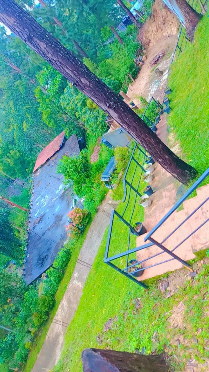 Hillsite View Ella