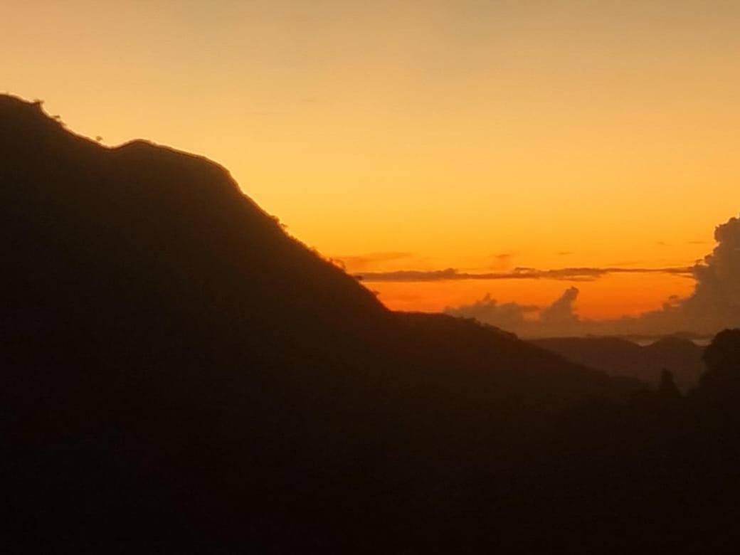 Vista