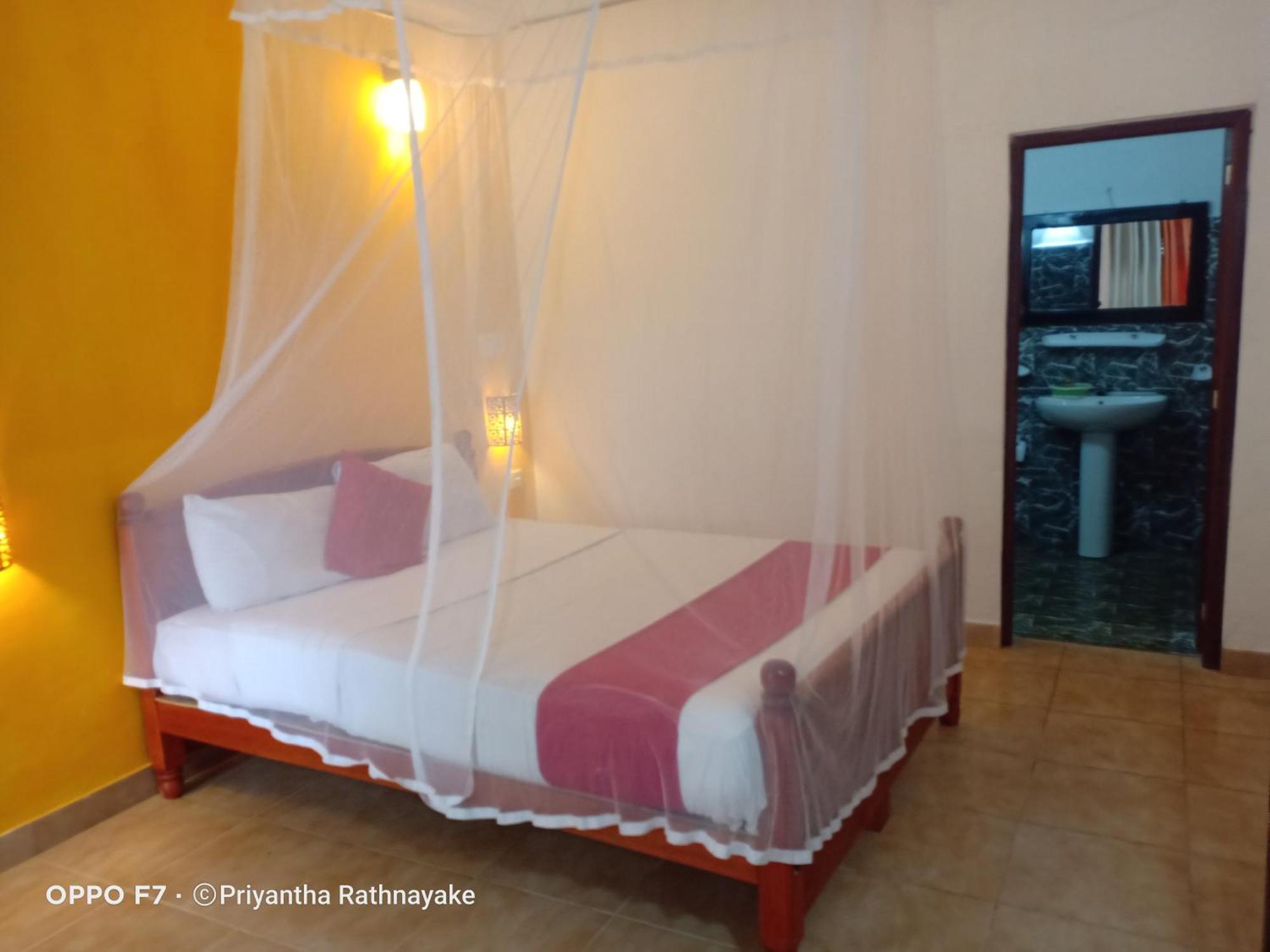 Hotel Forest Paradise