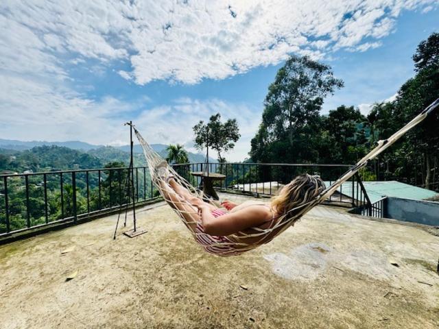 Nimal Nest Homestay *