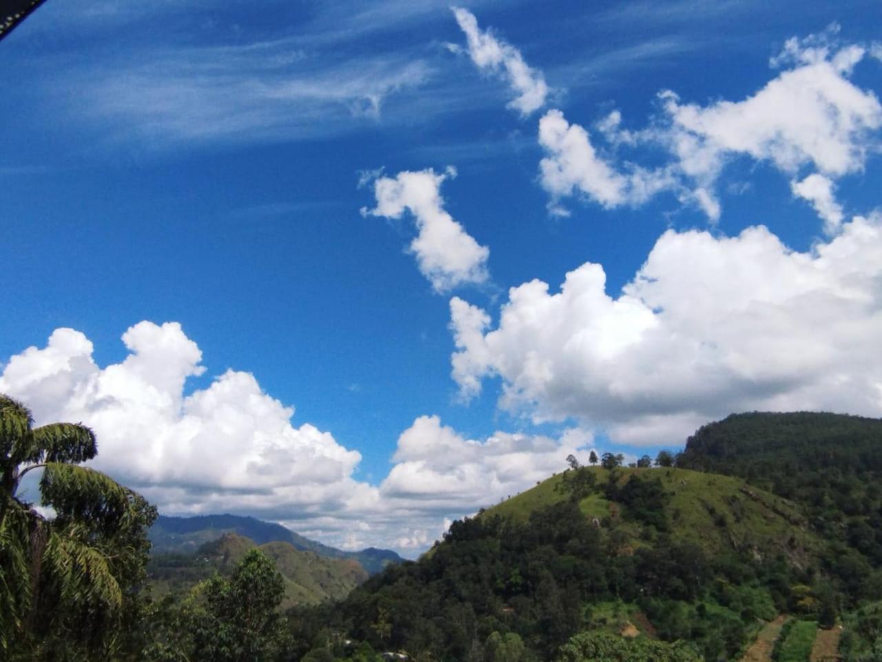 Homestay Rose Dale *
