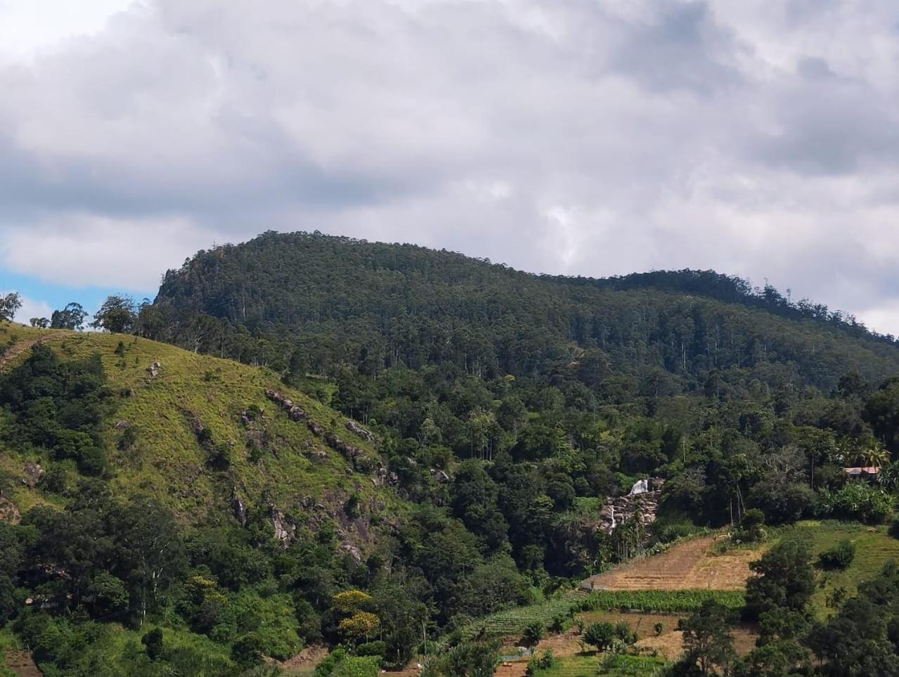 Rose Dale Homestay