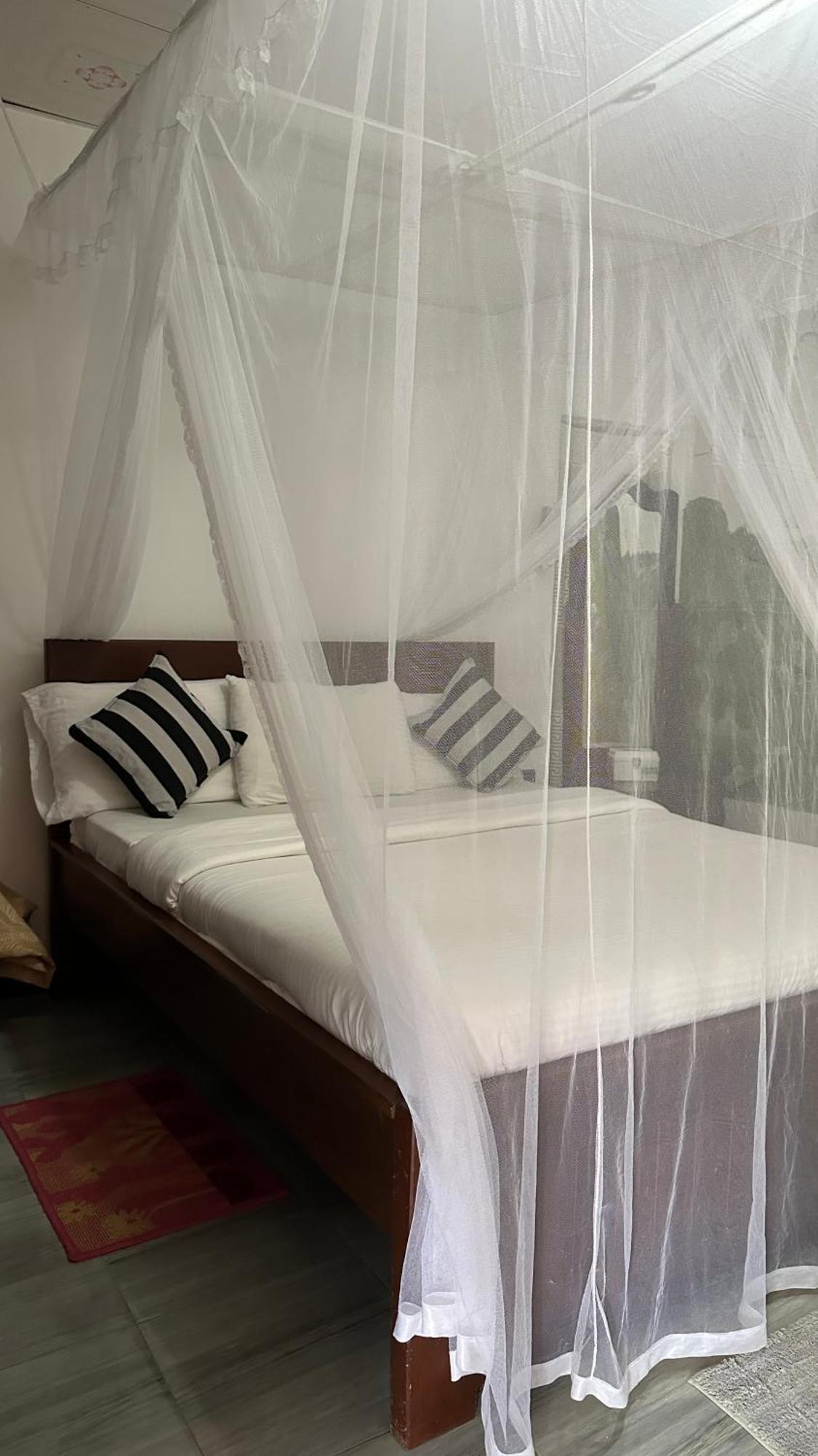 Homestay Cinnamon Ella