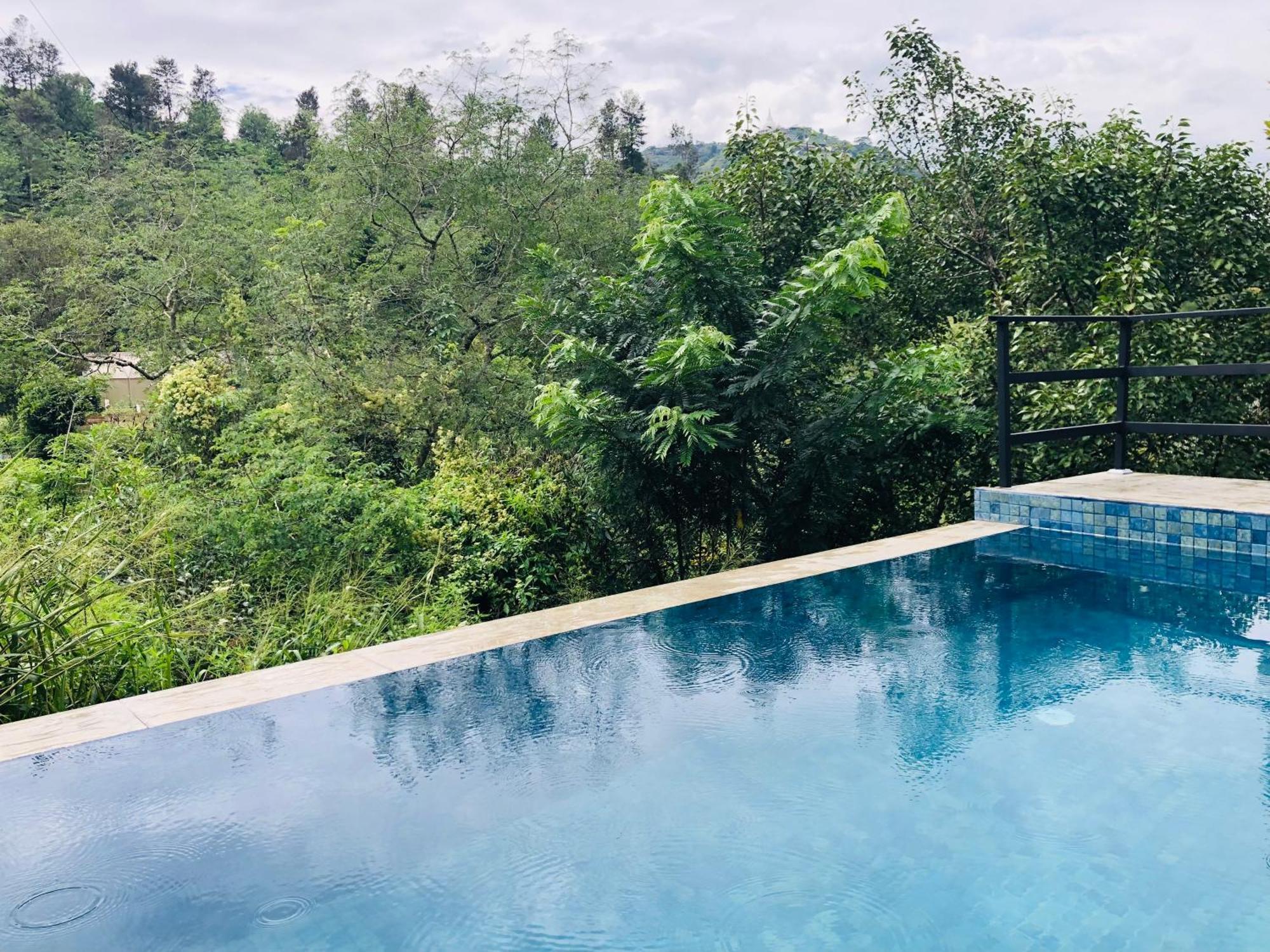 Guest house Wild *