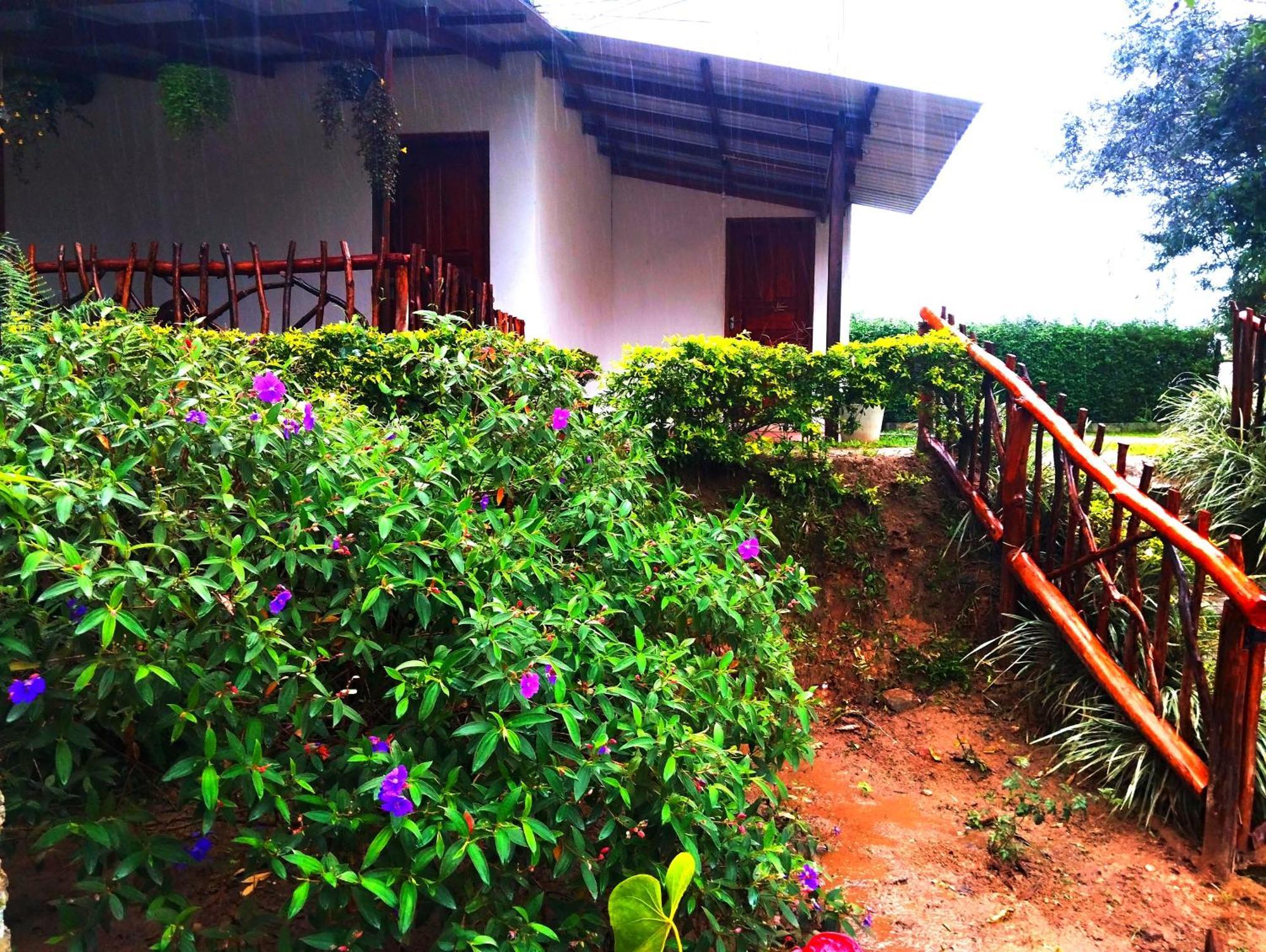 Upper Hill Bed & Breakfast Ella